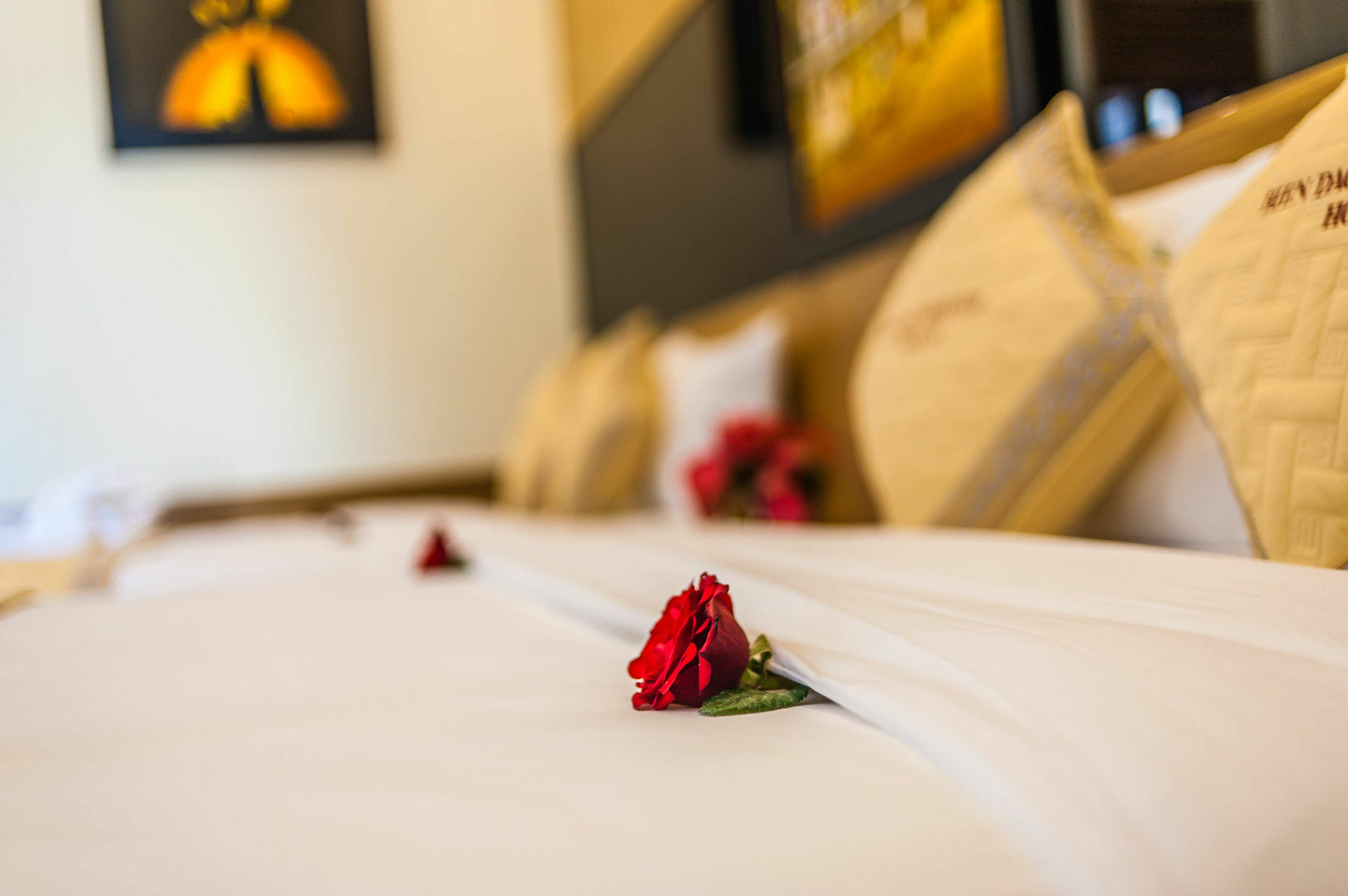Bien Dao Homestay Χόι Αν Εξωτερικό φωτογραφία